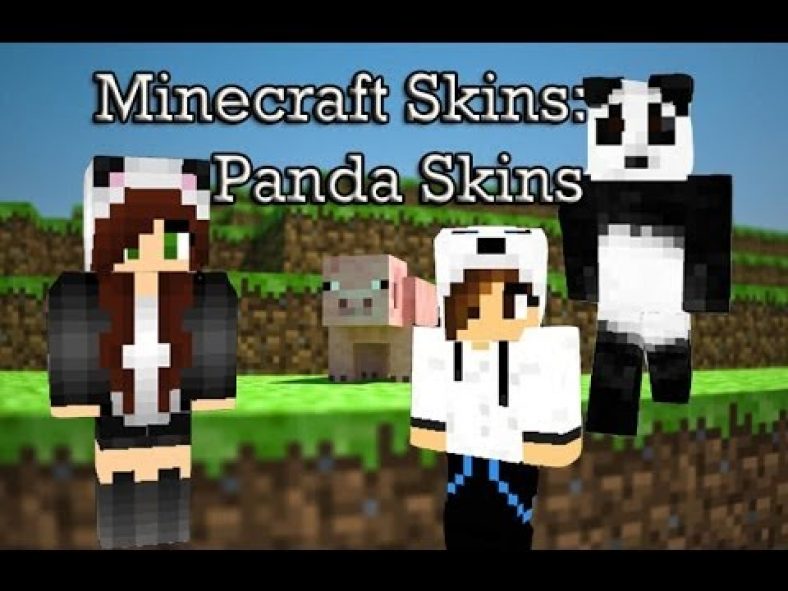 Pandaboy Skin 