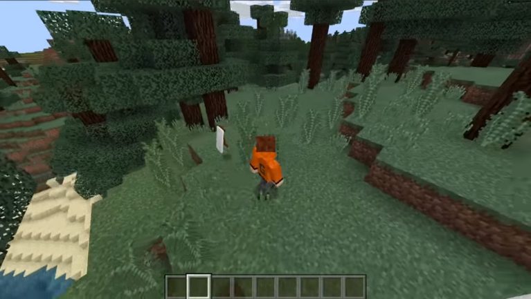 Wearable Cape Banners Addon Minecraft PE Bedrock Addons