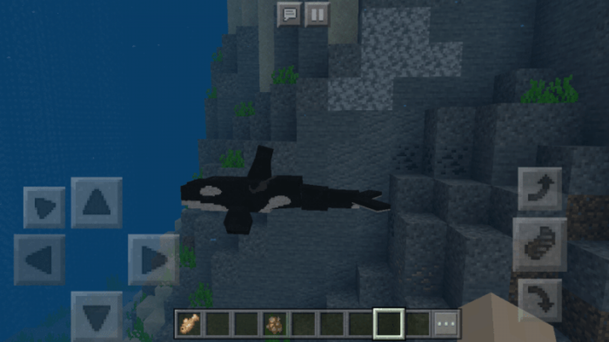 Dolphins Plus Addon | Minecraft PE Bedrock Addons