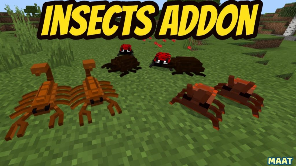 Insects Addon