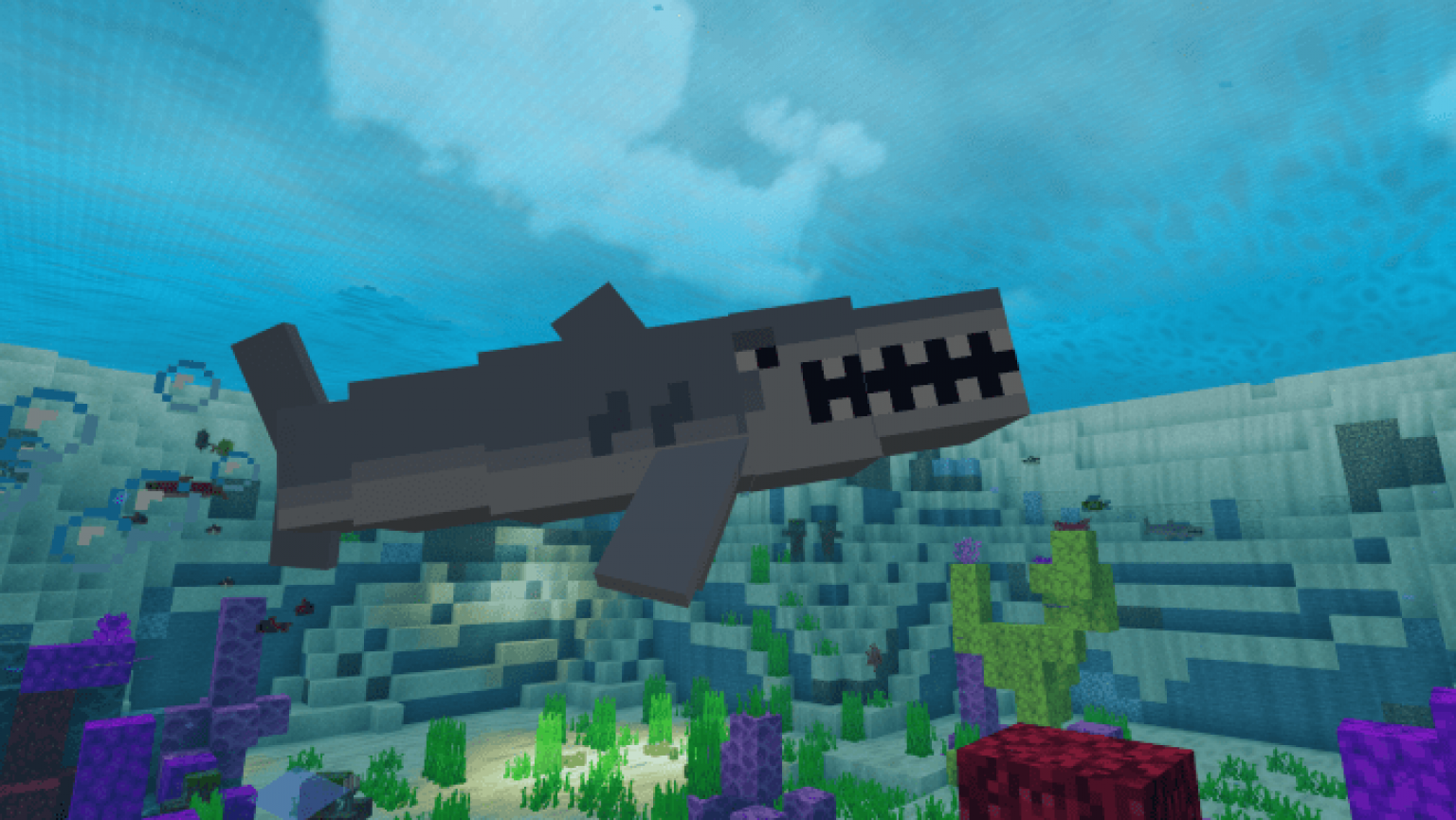 Shark Addon | Minecraft PE Bedrock Addons