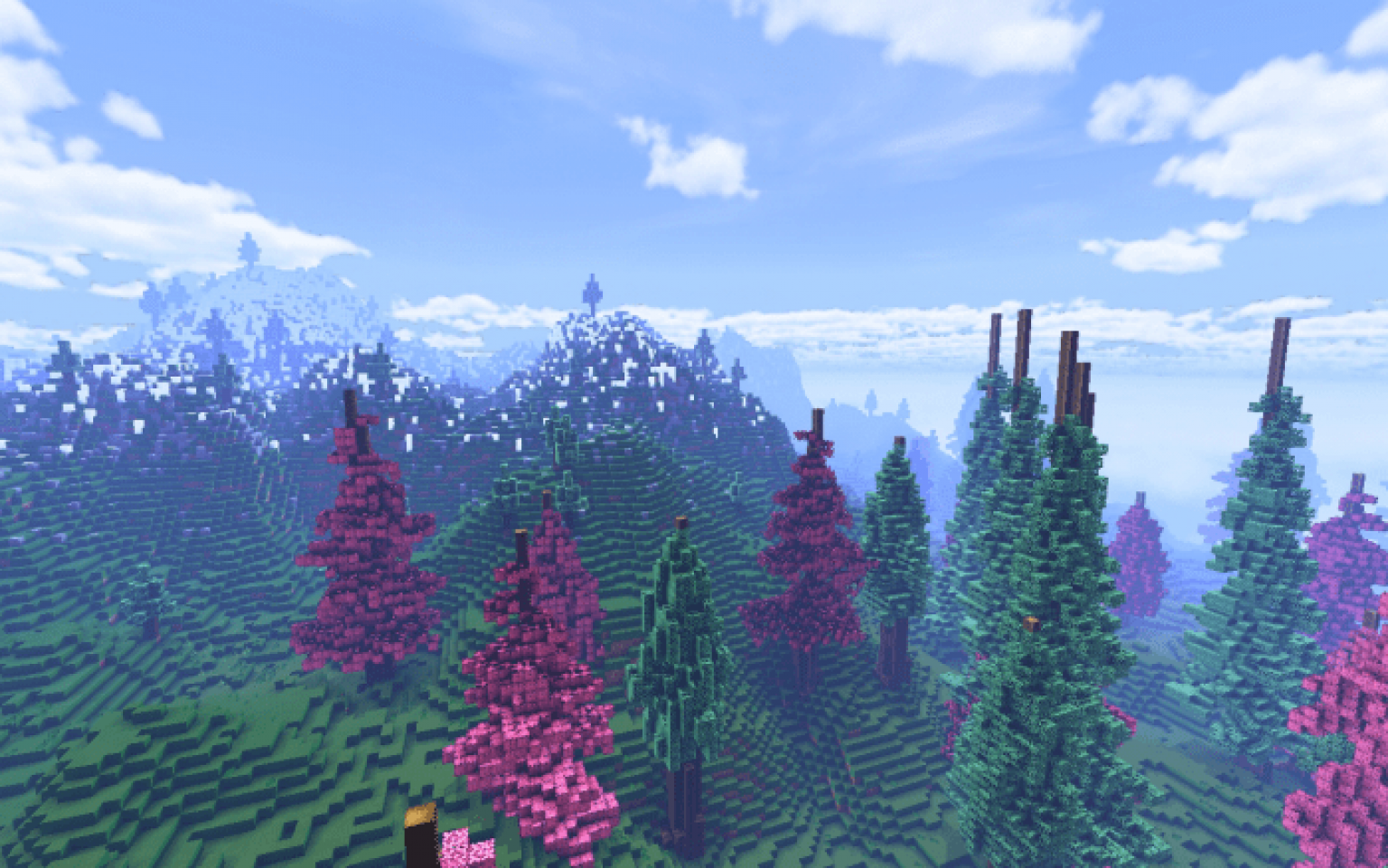 Spruce Forest Map | Minecraft PE Bedrock Maps