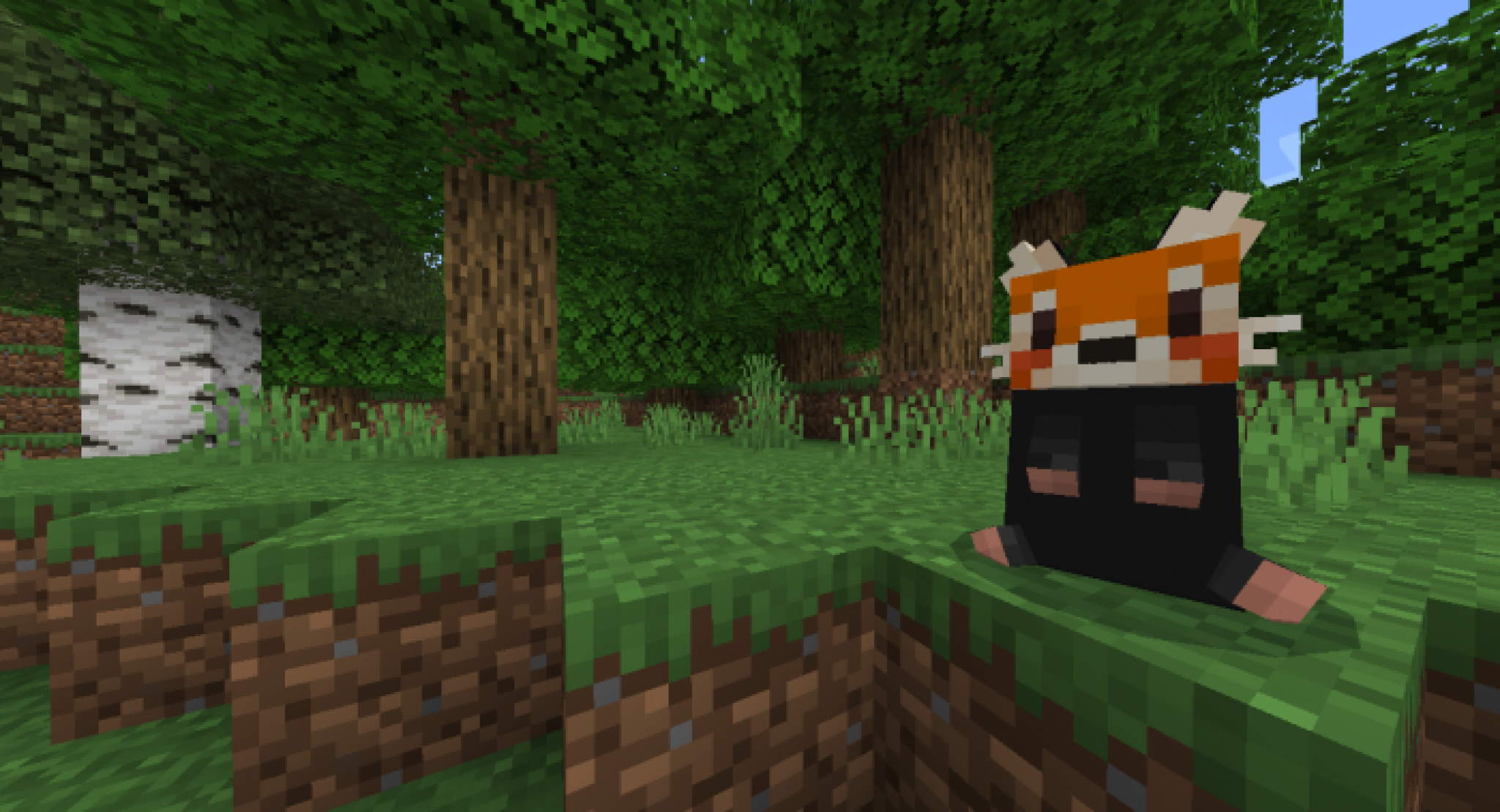 Minecraft fox mod