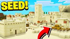 2 Villages in the Desert and Plain Seed