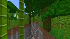 Bamboo Jungle with Crossing Ravines Seed