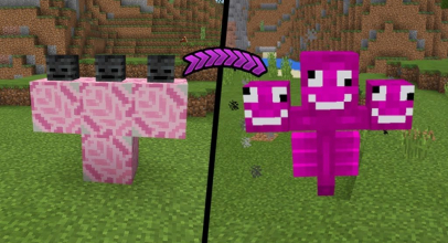 Crazy Wither Mod