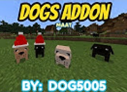 Dogs Addon
