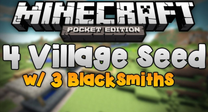 Four Villages Seed