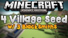 Four Villages Seed
