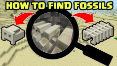 Giant Unearthed Fossil Discovered Seed