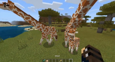 Giraffes Addon