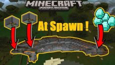 Huge Swamp Ravine Seed