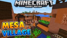 Mesa Village Seed