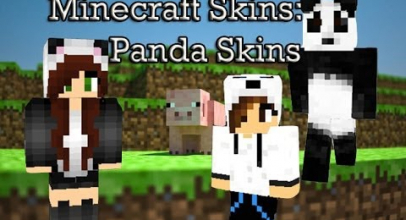 Pandaboy Skin