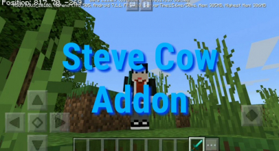 Steve Cow Addon