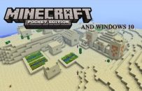 Village and Temple Seed